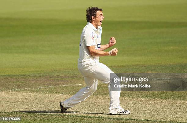 Steve O'Keefe of the Blues celebrates the wicket of Ed Cowan of the Tigers during day three of the Sheffield Shield final match between the Tasmanian...