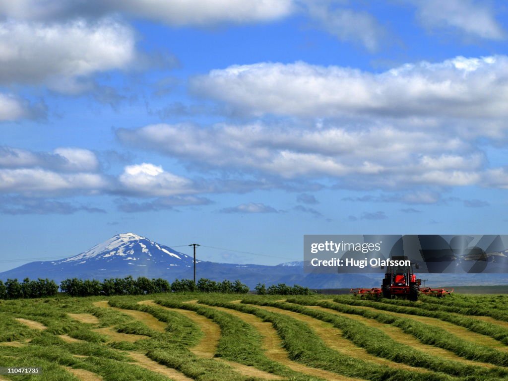 Haymaking near Hekla