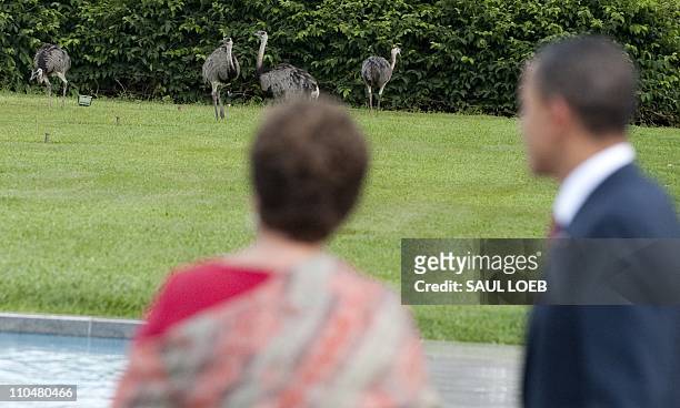 Brazilian President Dilma Rousseff and US President Barack Obama look out over the grounds at emus upon his arrival at the Palacio do Alvorada, the...