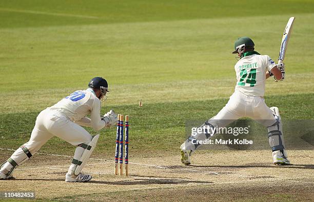 Peter Nevill of the Blues stumps Xavier Doherty of the Tigers during day four of the Sheffield Shield final match between the Tasmanian Tigers and...