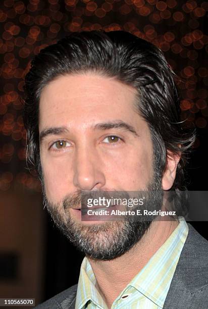 Producer David Schwimmer attends the screening of Millennium Entertainment's "Trust" held at the DGA Theater on March 21, 2011 in Los Angeles,...