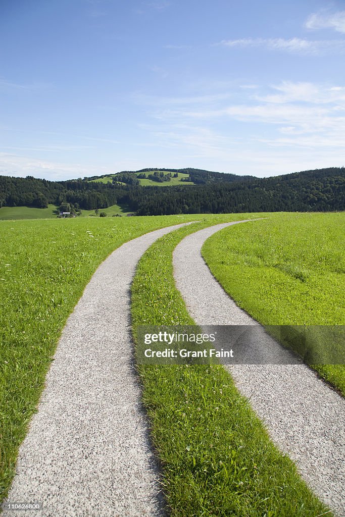 Roadway in farmland.