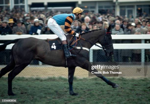 Burrough Hill Lad ridden by Phil Tuck, the winners of the Gold Cup at the Cheltenham National Hunt Festival on 15th March 1984.