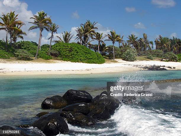 coco beach - cocos island stock-fotos und bilder