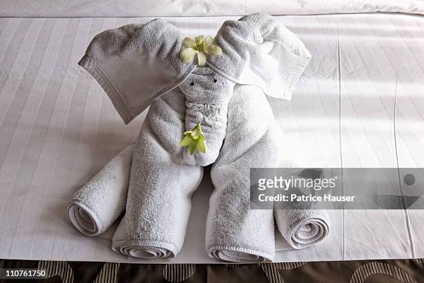 folded towel elephant shaped, - folded towels stock pictures, royalty-free photos & images