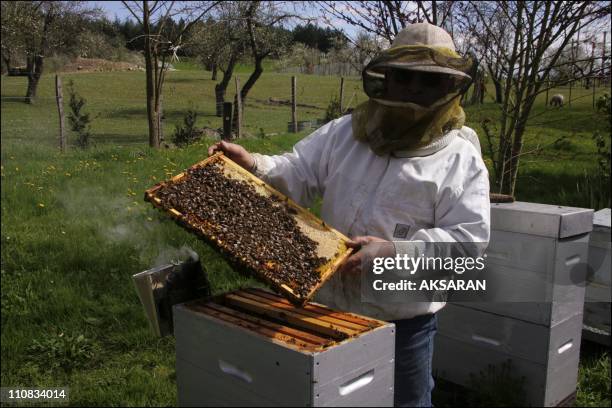 Maurice Coudoin, Beekeeper, Summonses Farmer, Producer Of The Transgenic Maize To Attend Urgent Proceedings, For Having Contaminated His Beehives In...