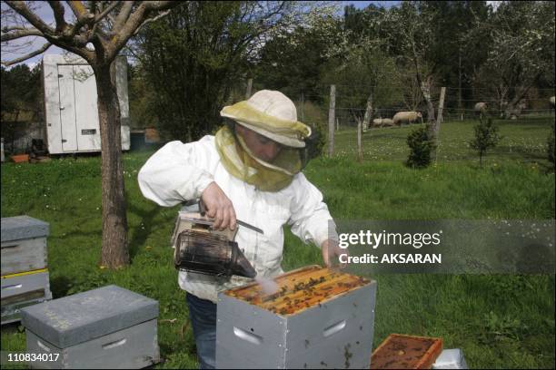 Maurice Coudoin, Beekeeper, Summonses Farmer, Producer Of The Transgenic Maize To Attend Urgent Proceedings, For Having Contaminated His Beehives In...