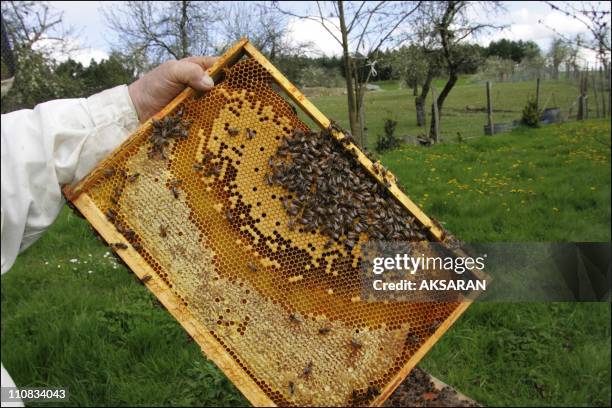 Maurice Coudoin, Beekeeper, Summonses Farmer, Producer Of The Transgenic Maize To Attend Urgent Proceedings, For Having Contaminated His Beehives In...