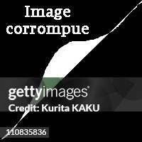 Zenjiro Tagomori Demonstrates His Falconry Skills At Tokyo'S Hamarikyu Gardens In Tokyo, Japan On December 30, 2002 Very Special Event will be held...