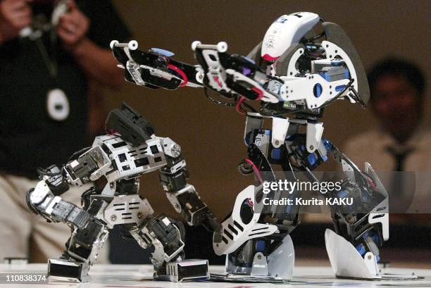 The 6Th Robo-One, A Competition Of Fighting Biped Robots In Kawasaki, Japan On August 08, 2004 - The 6th Robo-One is held in Kawasaki, suburban Tokyo...