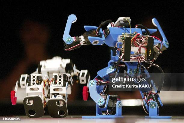 The 6Th Robo-One, A Competition Of Fighting Biped Robots In Kawasaki, Japan On August 08, 2004 - The 6th Robo-One is held in Kawasaki, suburban Tokyo...