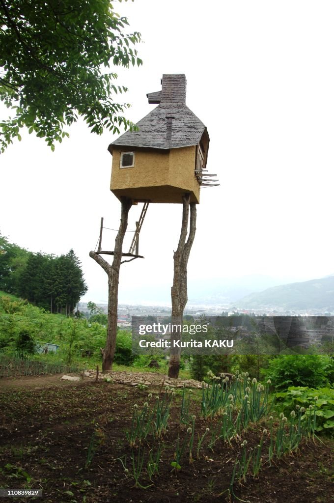 One Of World Famous Architect, Terunobu Fujimori 60. Bprm Om Magap. Made A Tea House On The Tree (8 Meter Tall) In Shino, Nagano, Japan On June 04, 2005.