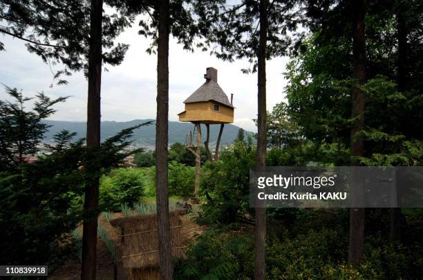 Teahouse On The Tree In Japan On July 17, 2005 - Japanese architect, Terunobu Fujimori, 58 built the teahouse on the tree in April 2004 - He named it...