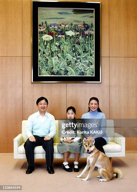 Japanese Royal Photo Session In Tokyo, Japan On December 02, 2010 - In this photo taken on Thursday, December 2, 2010 and released by the Imperial...