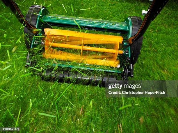 lawnmower - handgrasmaaier stockfoto's en -beelden