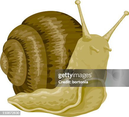 Snail Bitmap Snail High-Res Vector Graphic - Getty Images