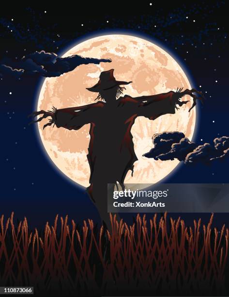 vollmond vogelscheuche - scarecrow agricultural equipment stock-grafiken, -clipart, -cartoons und -symbole