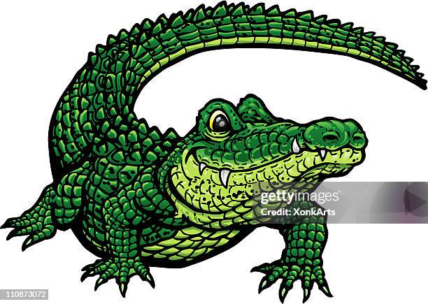 lächeln gator g - alligators stock-grafiken, -clipart, -cartoons und -symbole