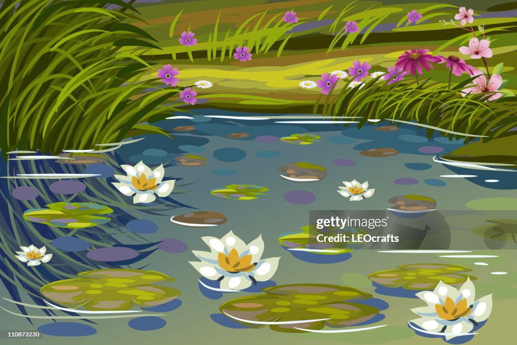 Pond Reference Beautiful Pond With Water Lilies High-Res Vector Graphic - Getty Images