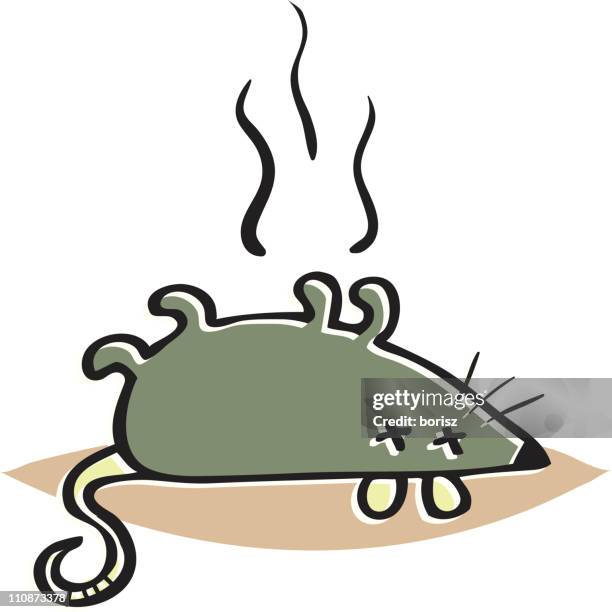 860 fotos e imágenes de Dead Rat - Getty Images 860 fotos e imágenes de Dead Rat - Getty Images