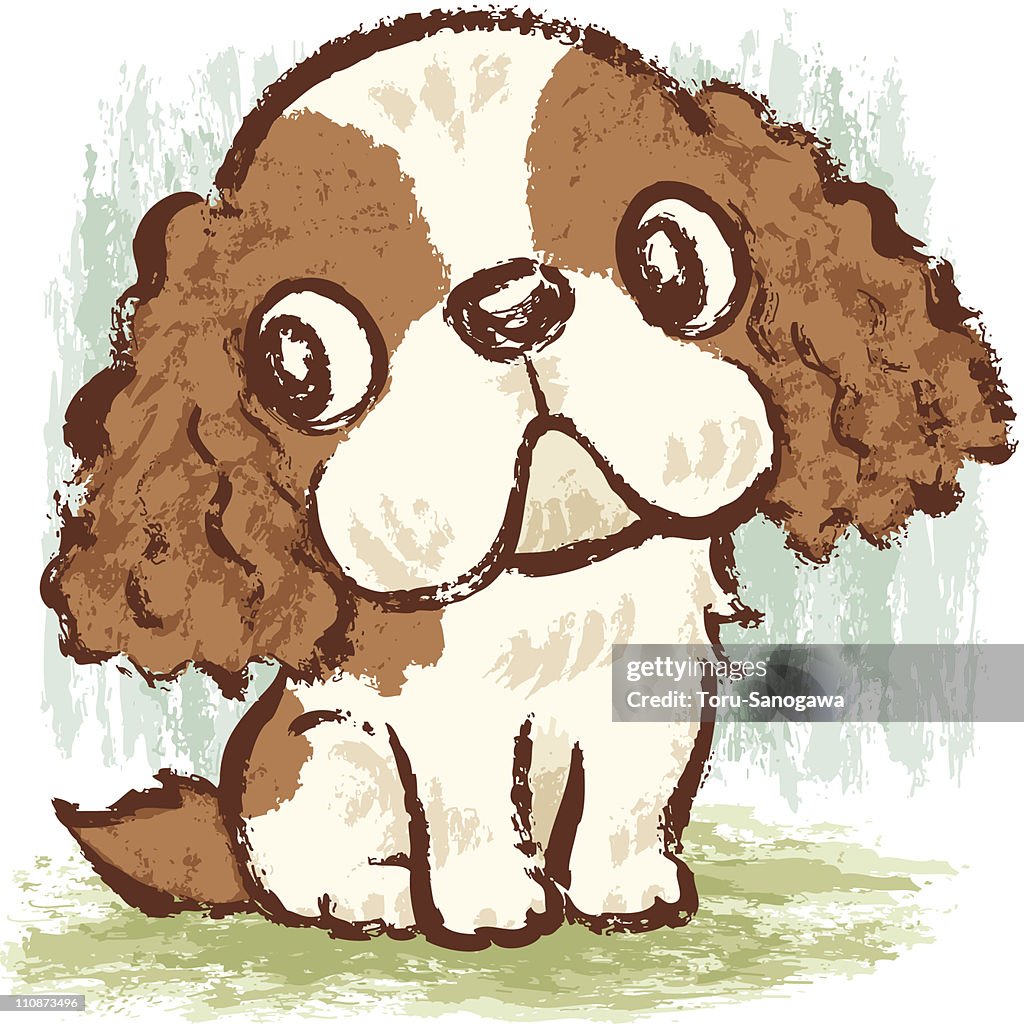 Cavalier King Charles Spaniel sitting