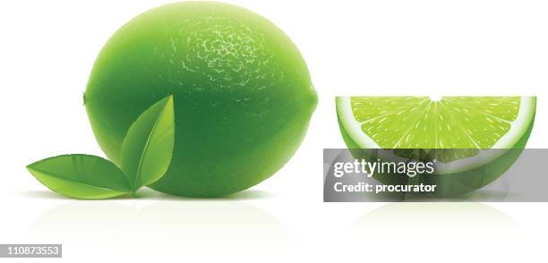 lime - lime stock illustrations