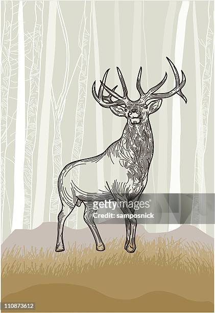 bildbanksillustrationer, clip art samt tecknat material och ikoner med elk in the grasslands forest - vapitihjort