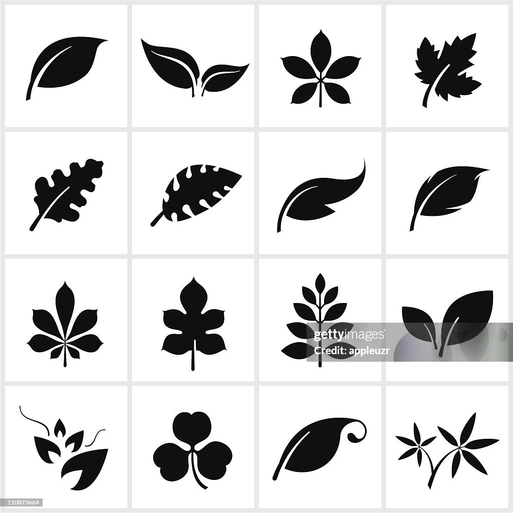 Black Leaf Symbols