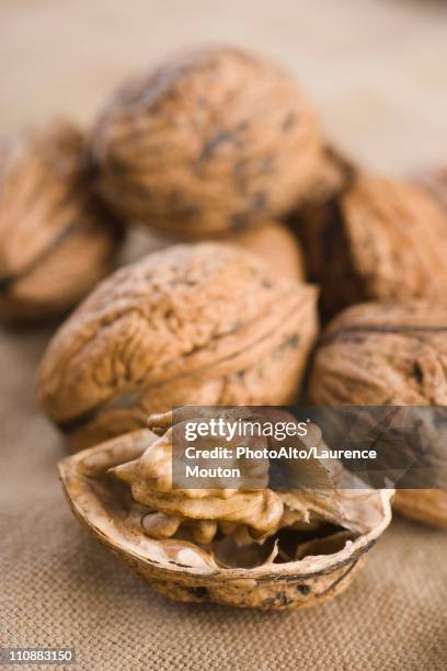 shelling walnuts - walnut stock pictures, royalty-free photos & images