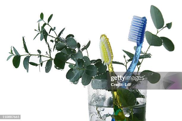 toothbrushes - naturopath stock pictures, royalty-free photos & images