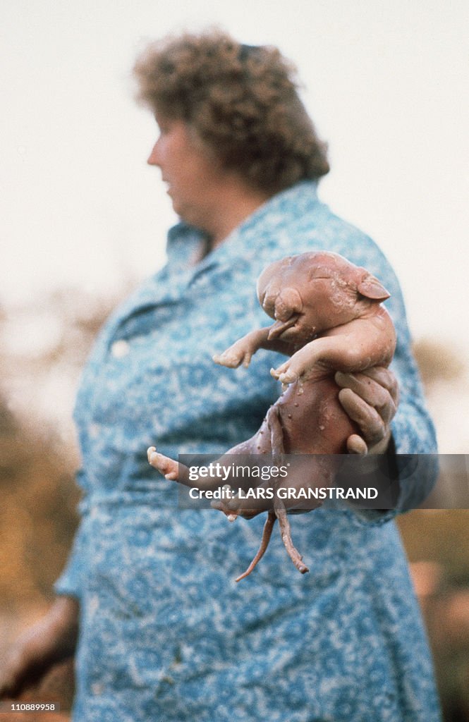 A woman holds, 02 October 1989 in the Tc