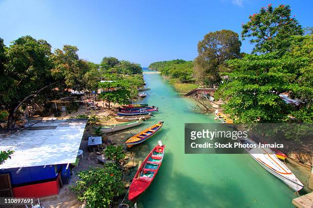 white river, jamaica - jamaican foto e immagini stock