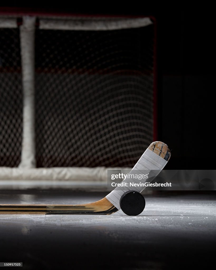 Hockey Puck, Stick, and Net