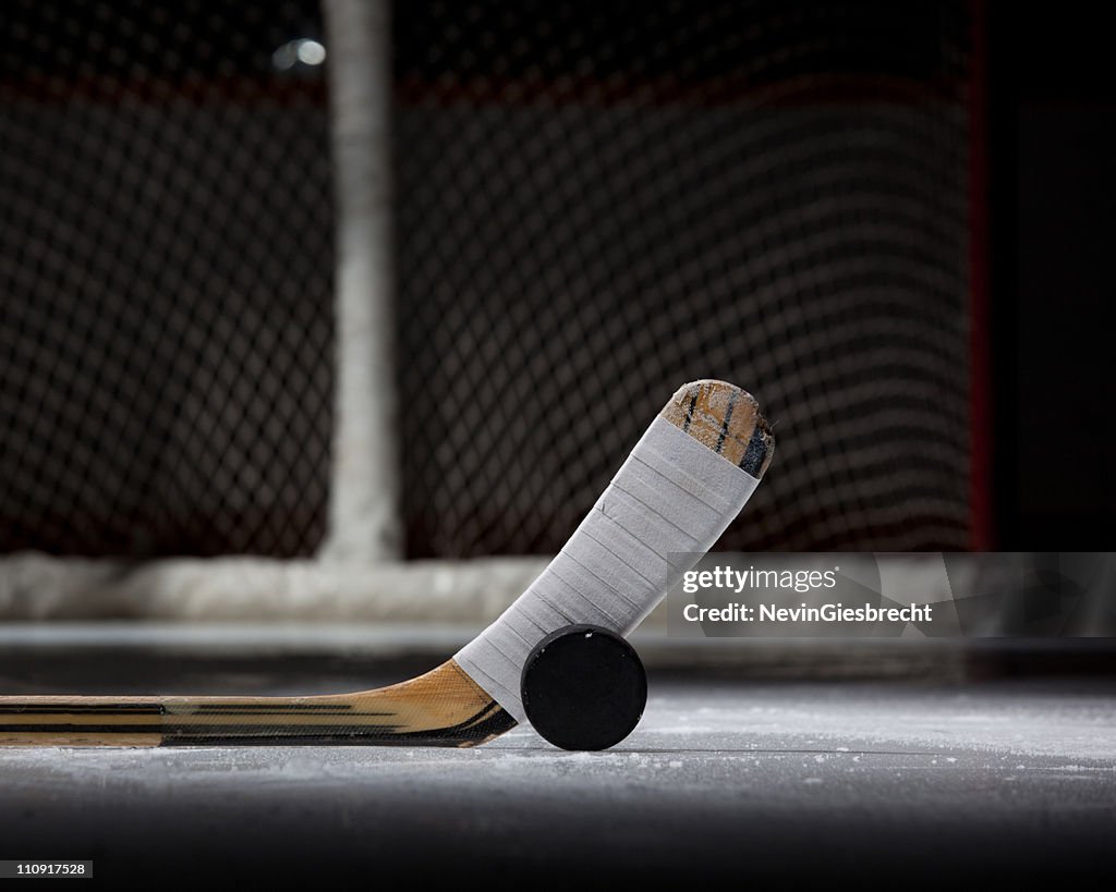 Hockey Puck, Stick, and Net (landscape)