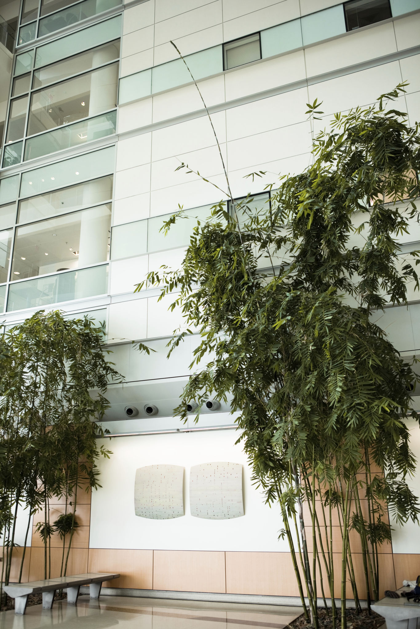 charles schwab office