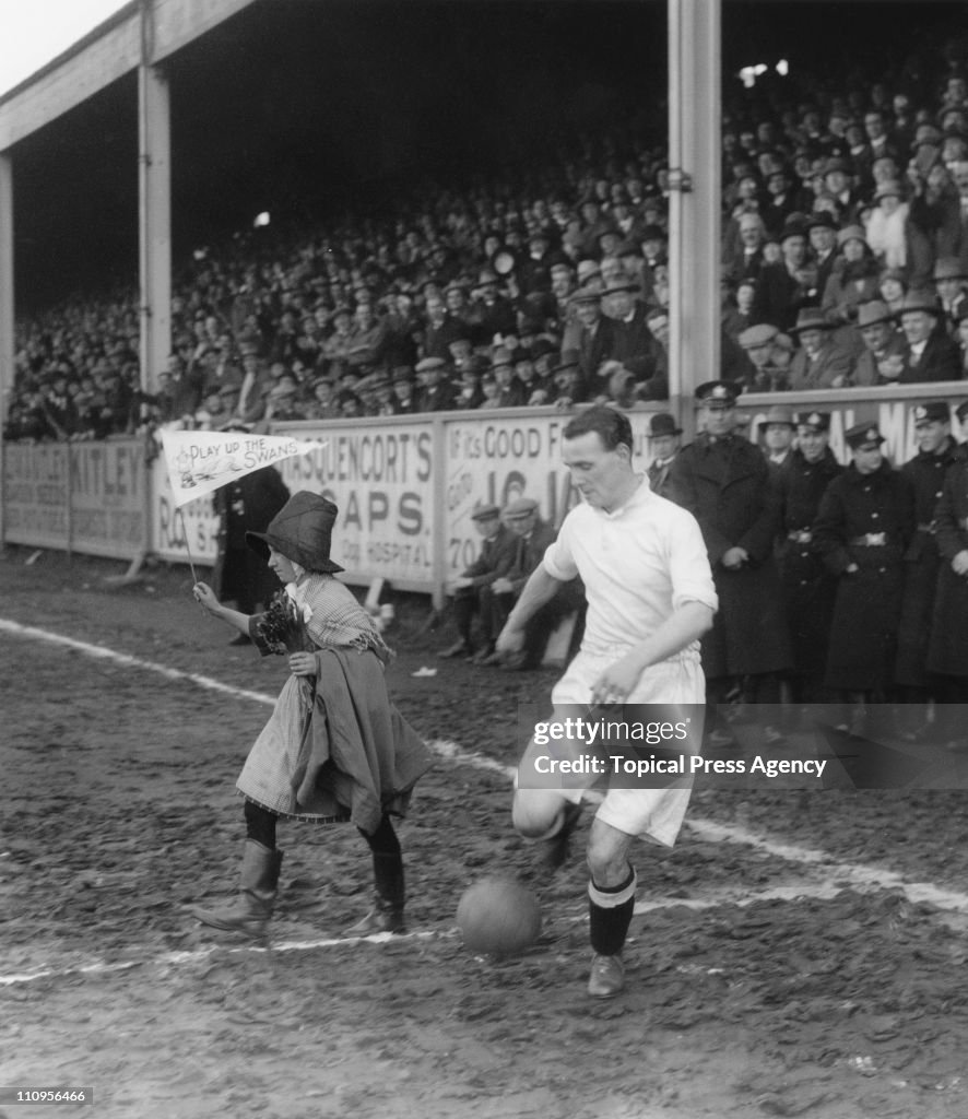 Swansea Mascot