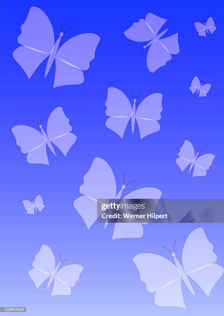 Butterflies graphics