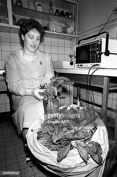 Une femme membre du service de contrôle vétérinaire de Colmar tient des épinards contaminés par le nuage radioactif de Tchernobyl, le 15 mai 1986,...