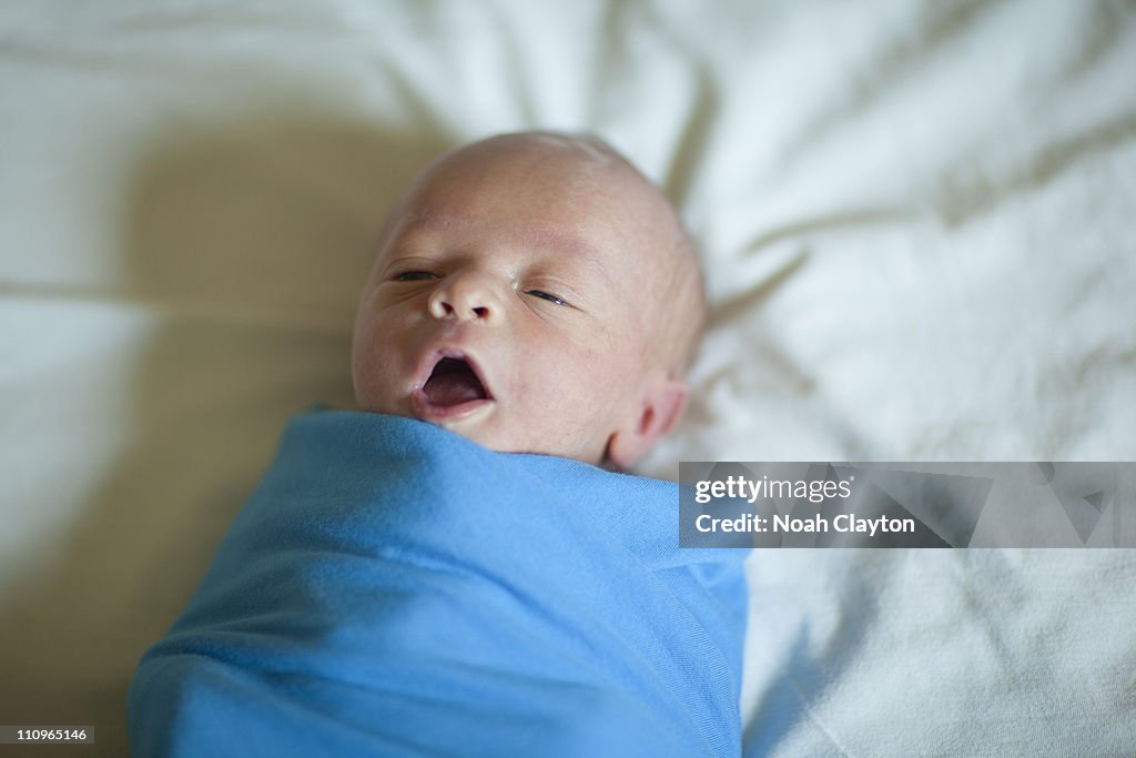 Newborn baby boy swaddled in blue blanket.