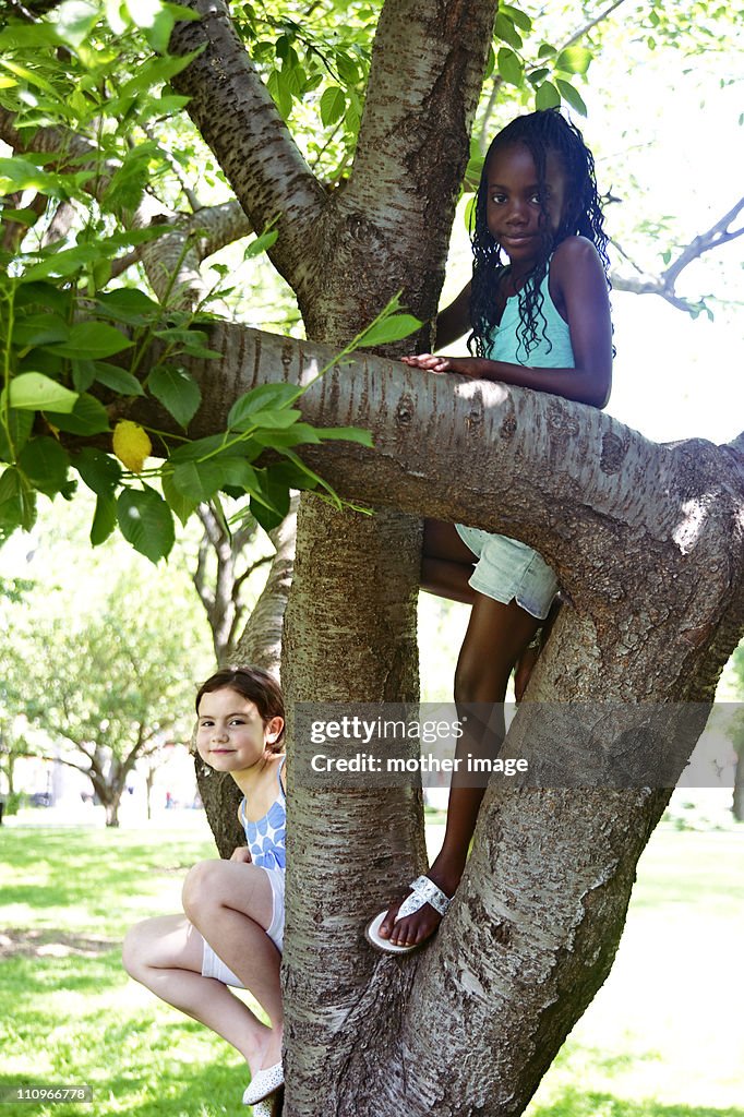 Tween best Friends climbing tree
