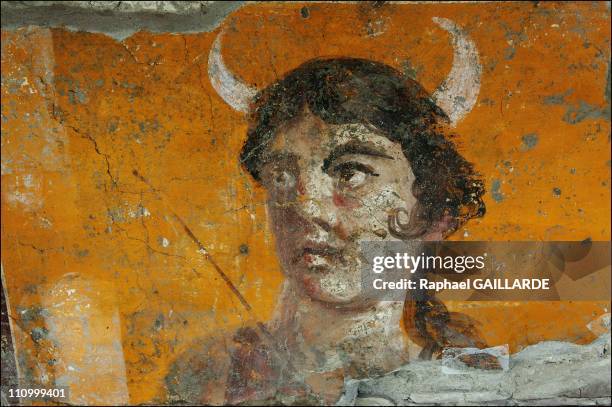 The difficult task of preserving Pompeii, a race against decay: Facade of the felt makers' shop in Via dell'Abbondanza in Pompeii - Depicted next to...