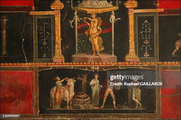 The difficult task of preserving Pompeii, a race against decay: Pompeii, red room in the house of the Vettii, Fourth Style Final Phase in Pompei,...