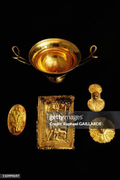 Solid Gold Objects 679 Roaring Lion Head Stock Photos, High-Res Pictures, and Images ...
