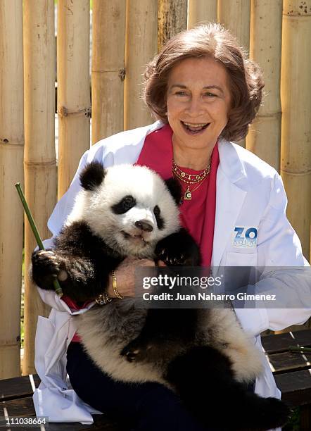 Queen Sofia of Spain visits Panda Bears at the Madrid Zoo Aquarium on March 29, 2011 in Madrid, Spain.