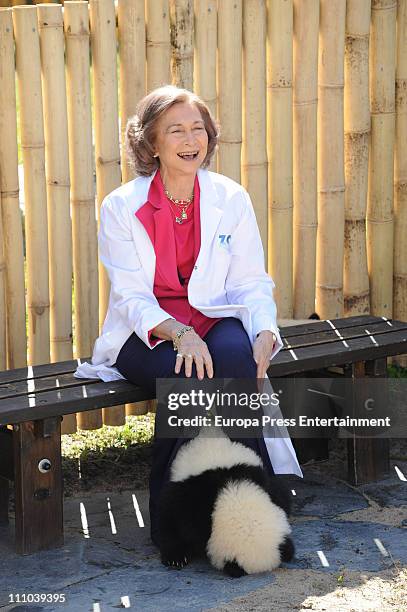 Queen Sofia of Spain visits Panda bears at the Zoo Aquarium on March 29, 2011 in Madrid, Spain.