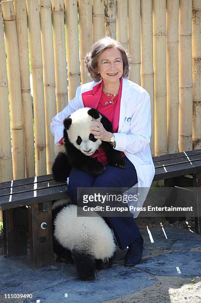 Queen Sofia of Spain visits Panda bears at the Zoo Aquarium on March 29, 2011 in Madrid, Spain.