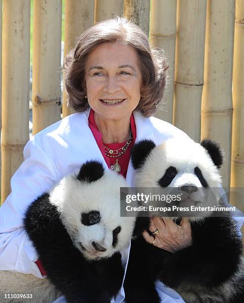 Queen Sofia of Spain visits Panda bears at the Zoo Aquarium on March 29, 2011 in Madrid, Spain.