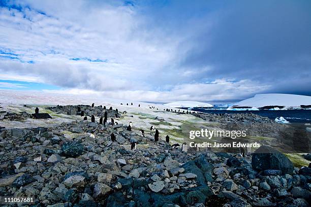 Prospect Point Prospect Point (Antarctica) Photos and Premium High Res Pictures ...