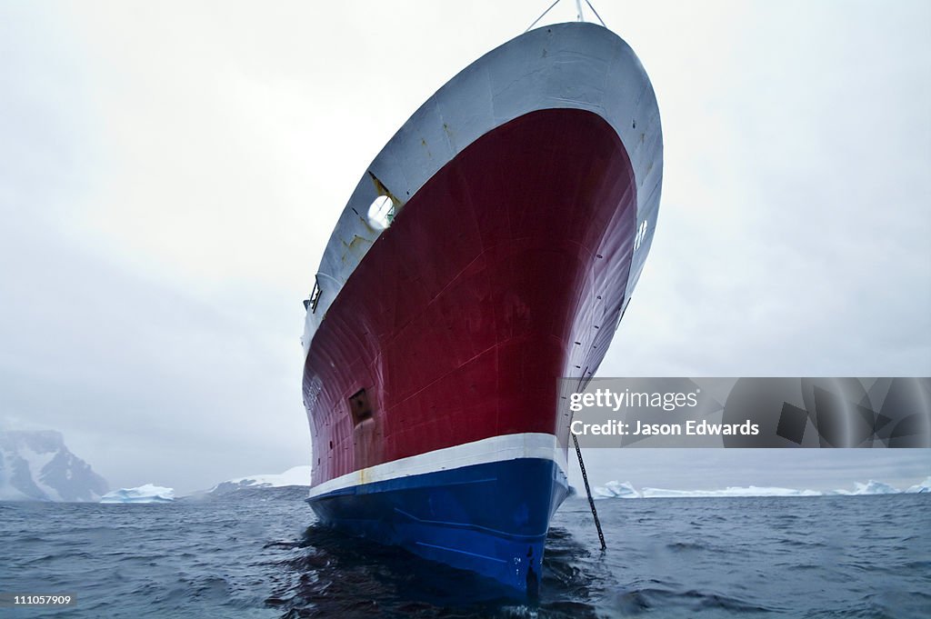 Pl_neau and Booth Islands, Bellingshausen Sea, Antarctic Peninsula, Antarctica.