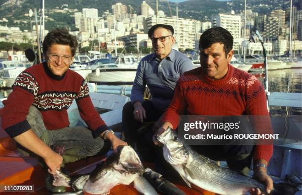 Andre Rinaldi Photos and Premium High Res Pictures - Getty Images